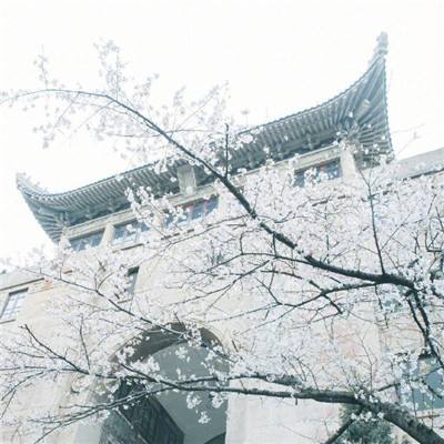 北京农学院：以高质量党建引领都市农林特色高水平应用型大学建设